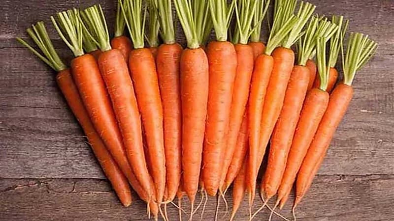 استشاري: لو أكلت 2 كيلو من الجزر سيصبح لونك برتقالي لكن لن يقوي نظرك