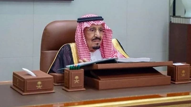 مجلس الوزراء يوافق على تحمل الدولة رسوم إرساليات المواشي الحية لفترة محدودة