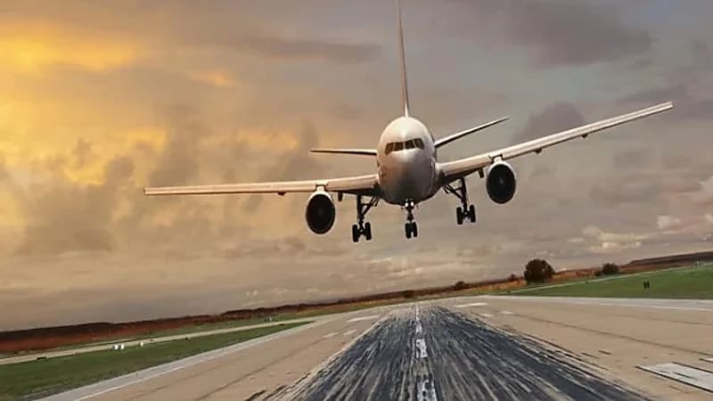 واقعة لا تصدق .. فأر يُجبر طائرة على الهبوط اضطرايًا