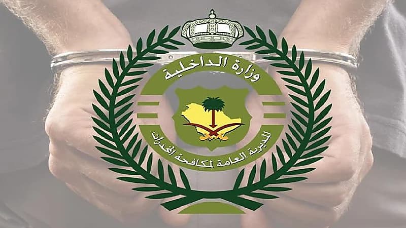 إحباط تهريب 375 كيلوجرامًا من نبات القات بجازان