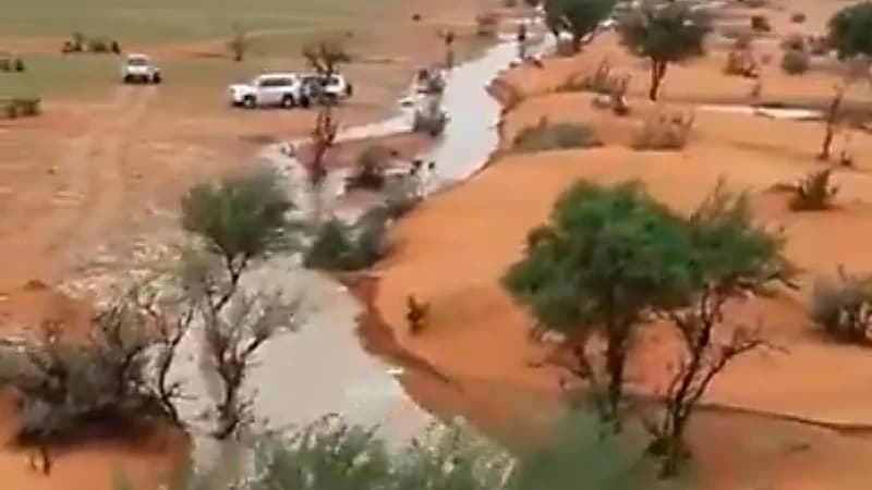 الحصيني: المملكة شهدت أطول شتاء هذا العام منذ أكثر من عقد