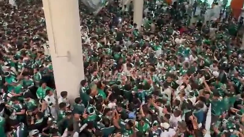 جماهير الاهلي تردد : الاهلي يسبح بالموج الازرق .. فيديو