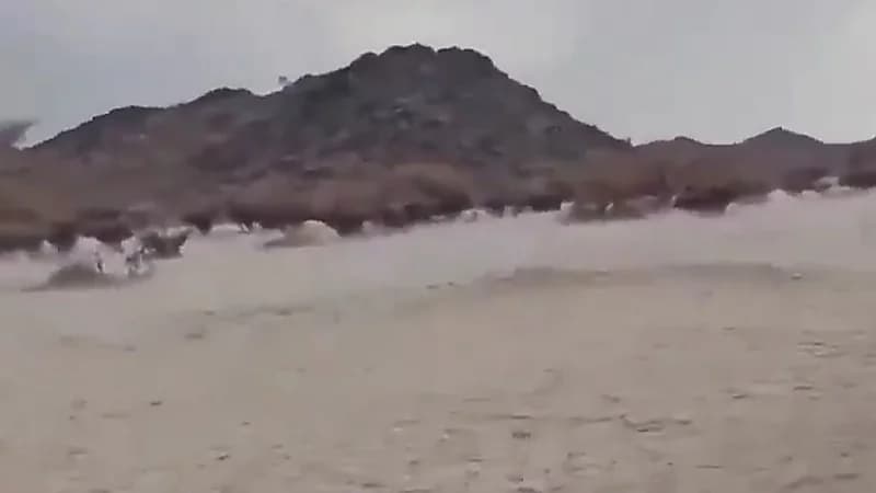 الضباب والبرد يكسو جنوب بيشة ..فيديو