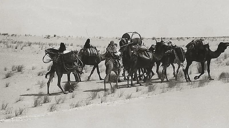 لقطات من البادية بين مدينتي الرياض و الدمام قبل 50 عام