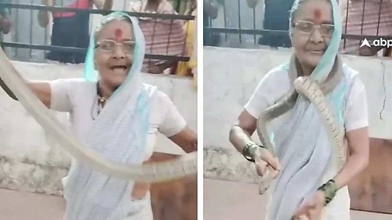 فيديو صادم لمسنة هندية تداعب ثعبانًا بثقة مدهشة .. فيديو