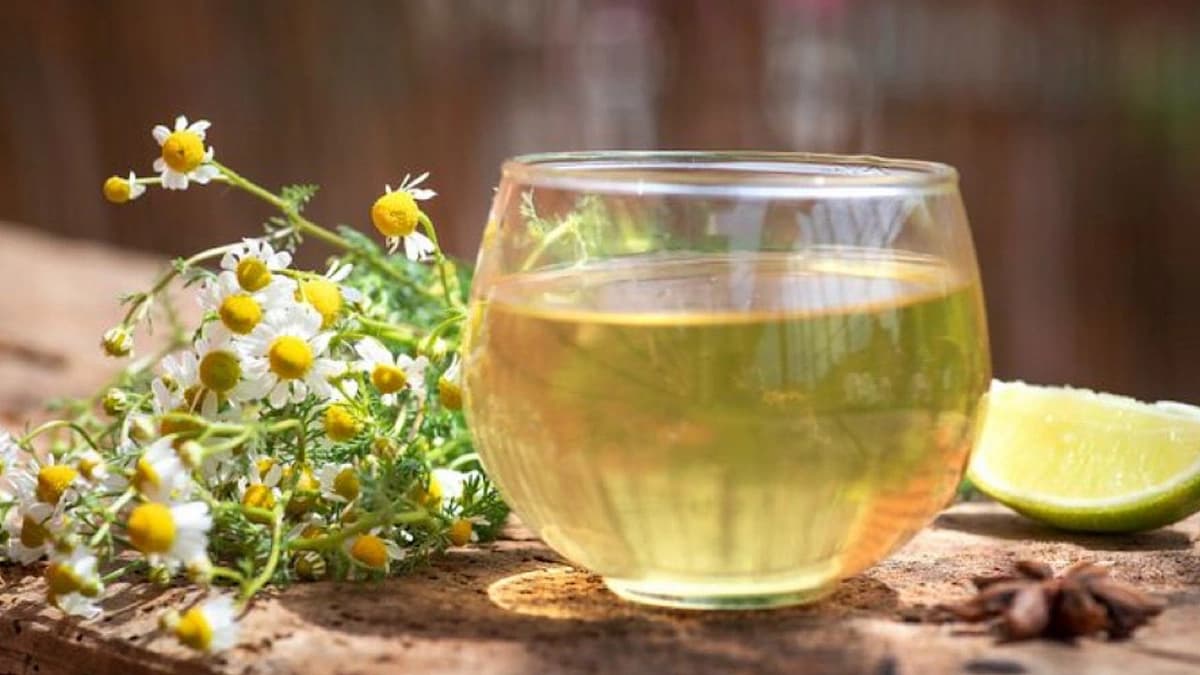 أضرار الإفراط في تناول البابونج