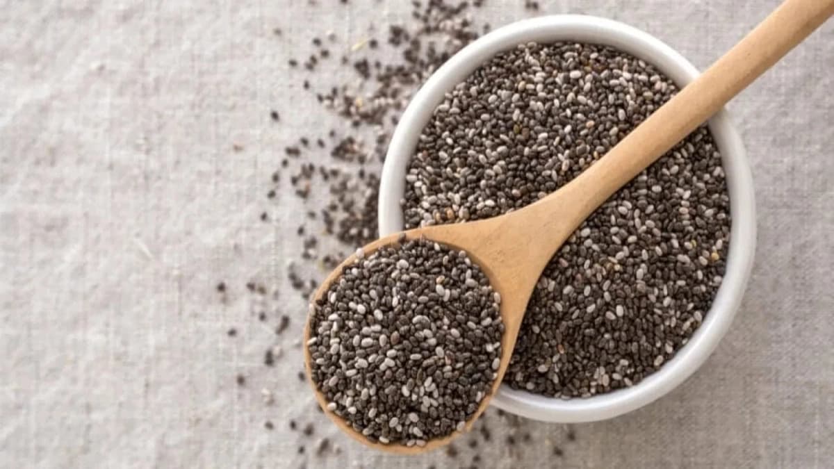 WhatsApp Image 2025-11-04 at 11.23.47 AM.jpeg