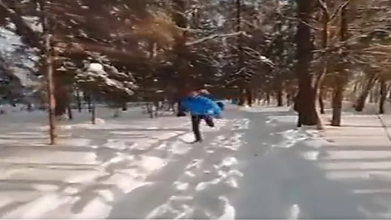 شاهد.. طائرة درون ترصد محاولة شاب للنجاة بحياته من "دب"