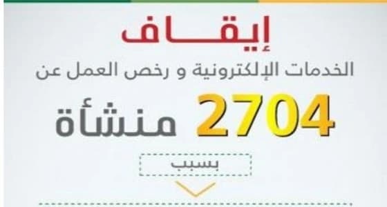 " العمل " توقف خدماتها الإلكترونية ورخص العمل عن 2704 منشآت
