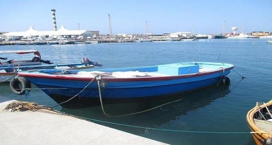 مطالب رسمية بتأجيل مشروع " صياد " والتريث في تنفيذه