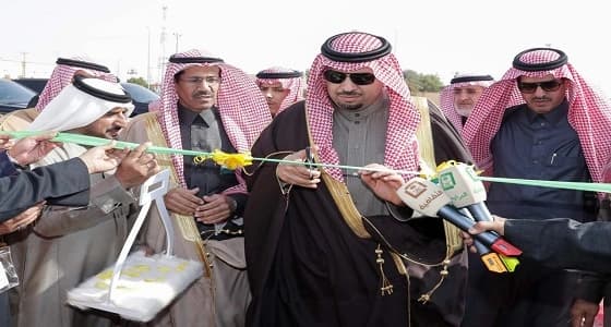 بالصور.. أمير الشمالية يواصل جولاته التفقدية بزيارة مركز لينه والقرى والهجر وشيوخ القبائل