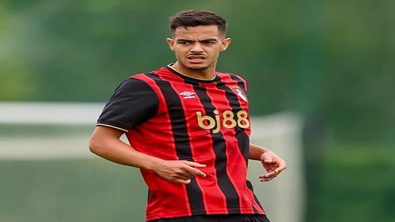 رومان فيفر على أعتاب التعاون