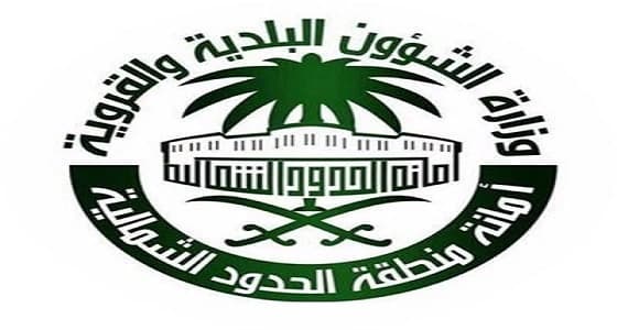 " الشمالية " تدعو الفنانين التشكيليين للمشاركة في رسم جداريات