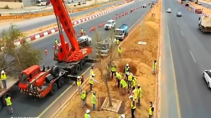 بالفيديو.. «البيئة» تبدأ تنفيذ لائحة تنمية الغطاء النباتي ومكافحة التصحر