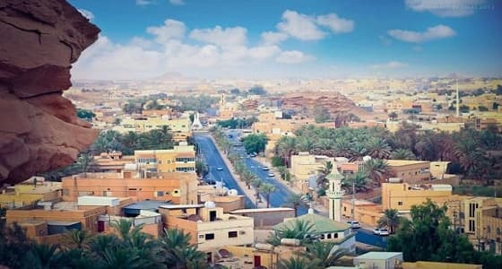 3 أنشطة يبدأ قرار التوطين فيها مع بداية شهر رجب