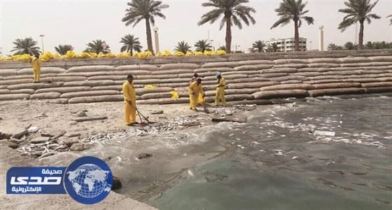 وزارات الكويت تتنصل من مسؤوليتها عن «نفوق الأسماك»