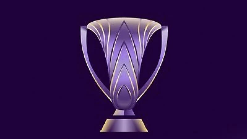 الاتحاد الآسيوي: شاندونغ تايشان الصيني يعتبر منسحبًا من أبطال آسيا للنخبة