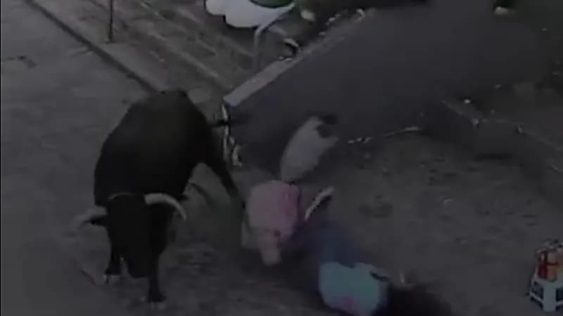 ثور هائج يتسبب بحالة من الهلع ويصيب 5 أشخاص في الشارع .. فيديو