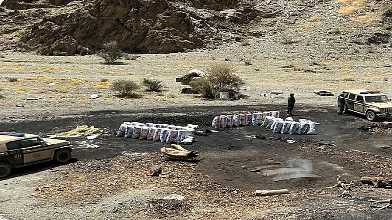 القبض على مخالف لقطع الأشجار وتخزين الحطب المحلي بالمدينة المنورة