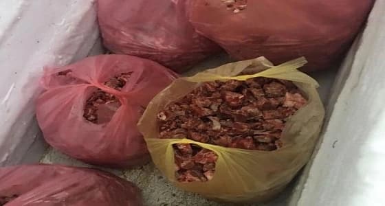 بالفيديو والصور.. ضبط كمية كبيرة من اللحوم الفاسدة في الرياض