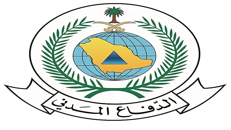 اندلاع حريق في أشجار وأعشاب بمنطقة جبلية برجال ألمع