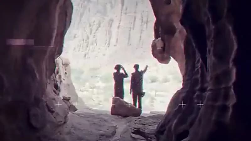 ضبط 14 مخالفًا لنظام البيئة في عدد من مناطق المملكة .. فيديو