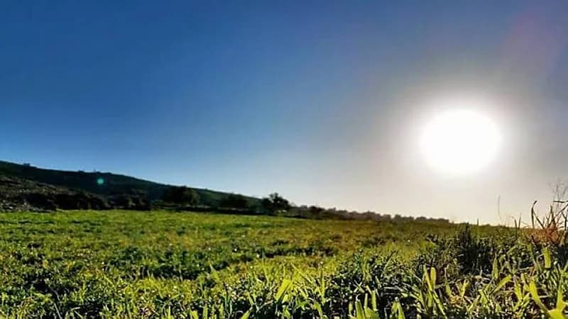 "فلكية جدة" تعلن انتهاء فصل الشتاء فلكيًا اليوم