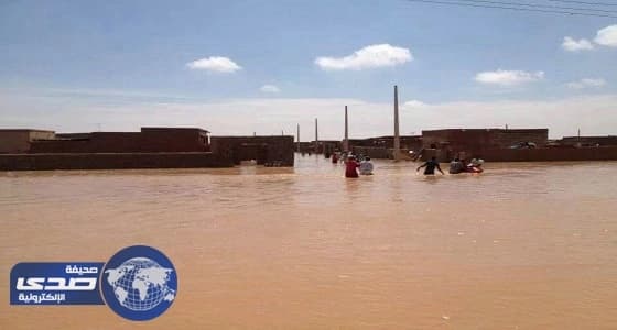 " فيضان سامّ " يقتل نباتات وحيوانات إسرائيلية