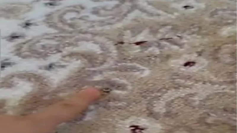 شاهد.. شاب يوثق رصاصة اخترقت منزله أثناء نومه في نهار العيد 