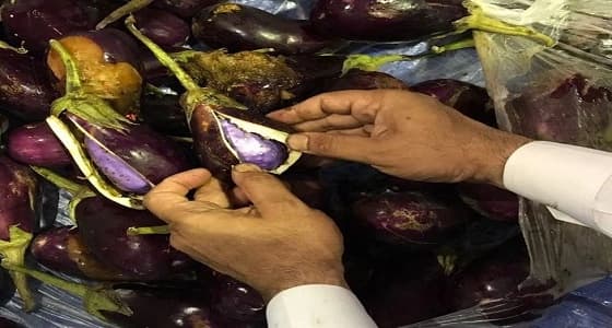 بالصور.. " الجمارك " تحبط تهريب 174 ألف حبة كبتاجون داخل إرسالية " باذنجان "