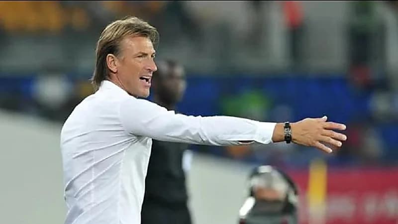 "رينارد" يتلقى عرض مغري من اتحاد أفريقي