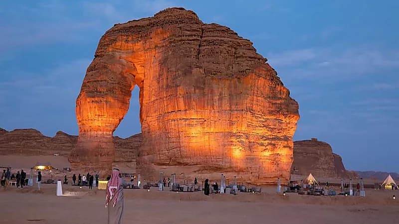 أسباب ارتفاع السجلات التجارية في قطاع السياحة.. فيديو