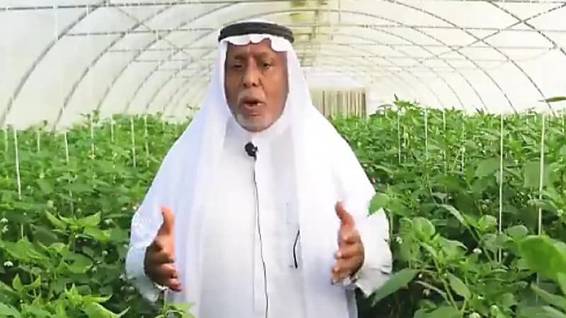 4 نصائح لحمايتك من النصب والاحتيال عند التسوق في المتاجر الإلكترونية