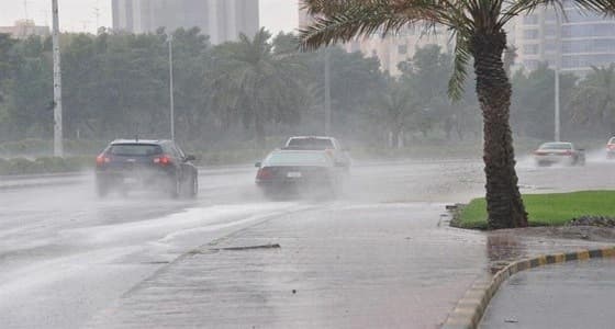 " الأرصاد " تحذر من هطول أمطار رعدية على المنطقة الشرقية