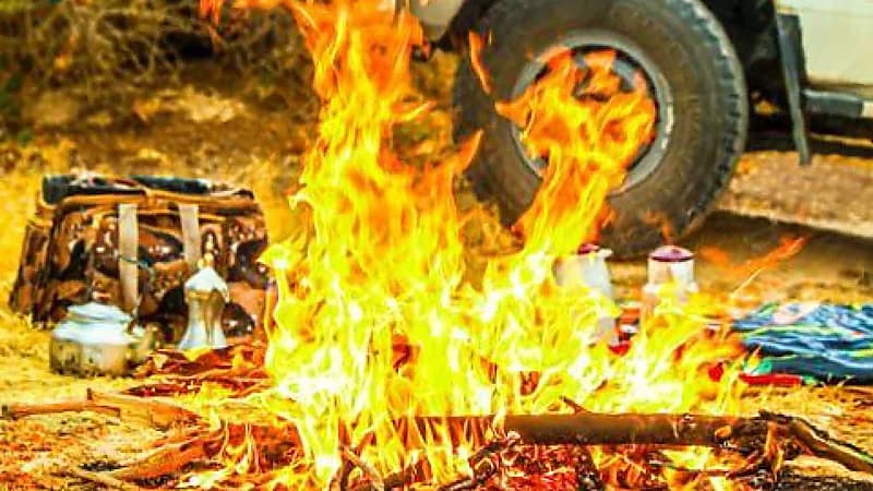 ضبط 8 مخالفين لنظام البيئة لإشعالهم النار في المناطق المحمية