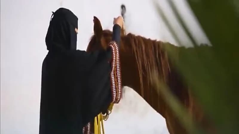 بالفيديو.. مواطنة تؤسس أول مشروع نسائي للتدريب على ركوب الخيل بحائل