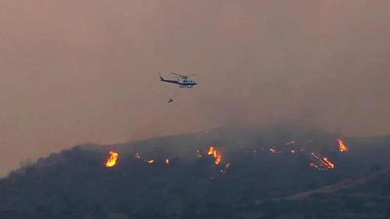 قبرص تحكم سيطرتها على حريق الغابات الهائل