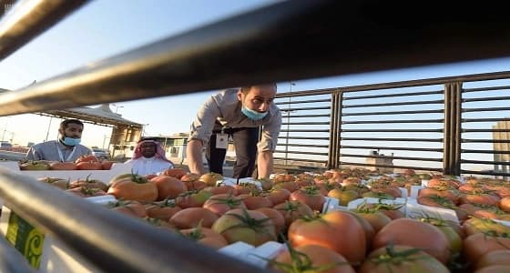 " الغذاء والدواء " تسحب عينات خضار وفواكه من المزارع لرصد بقايا المبيدات