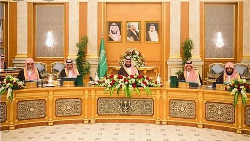 تفاصيل قرار السماح للجهات الحكومية باستخدام المشاركة في الدخل