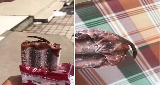 بالفيديو.. فتاة تعثر على فأر مجمد داخل قطعة آيس كريم
