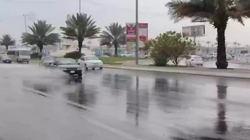 الحقيل: أمطار على جنوب وغرب المملكة الأسبوع المقبل