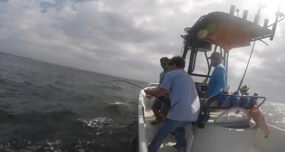 بالفيديو.. رجل متهور يصطاد سمكة قرش حاولت عضه