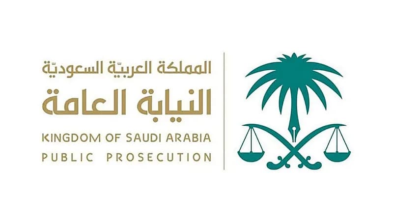 النيابة العامة توضح حقوق الطفل حال مشاركته بالأنشطة الترفيهية