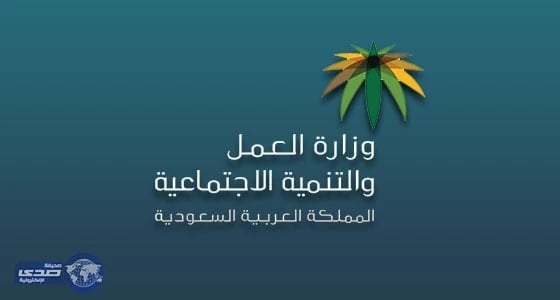 طريقة احتساب الفئات الخاصة في برنامج المقابل المالي