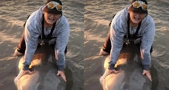 بالفيديو.. موقف غريب لسيدة مع سمكة قرش