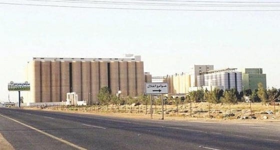 تعيين مستشار مالي لتخصيص شركات مطاحن الدقيق