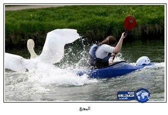 القمر يقترن بـ"كوكب الجمال" غدا ويشاهد بالعين المجردة