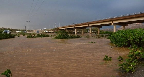 أمطار على محافظة بارق