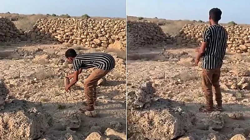 بالفيديو.. مواطن ينقذ ظبي عالق ويطلق سراحه بجزيرة فرسان