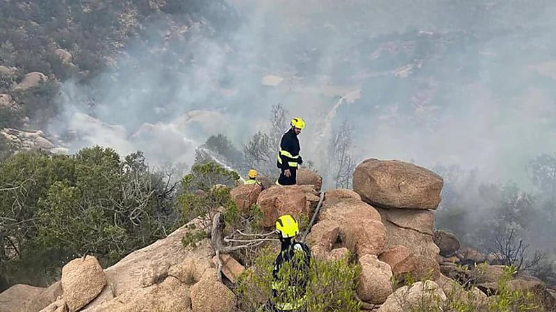 الدفاع المدني يسيطر على حريق في منطقة جبلية بالطائف